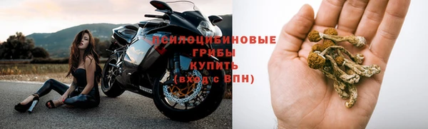 хмурый Покачи