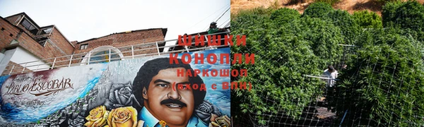 сатива Абдулино
