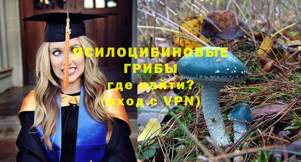 трава Абинск