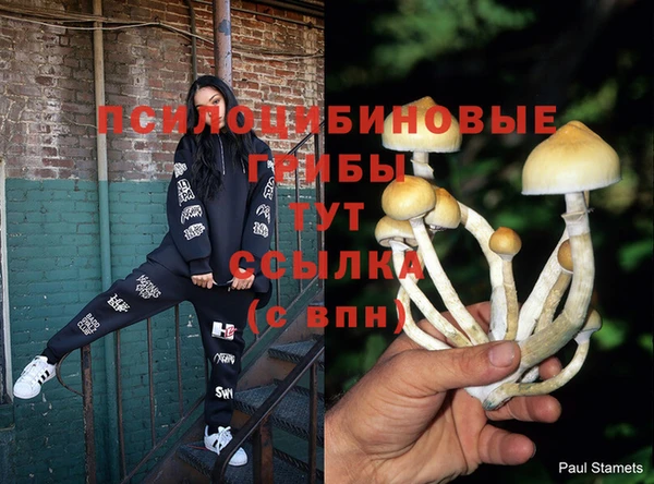 герыч Абаза